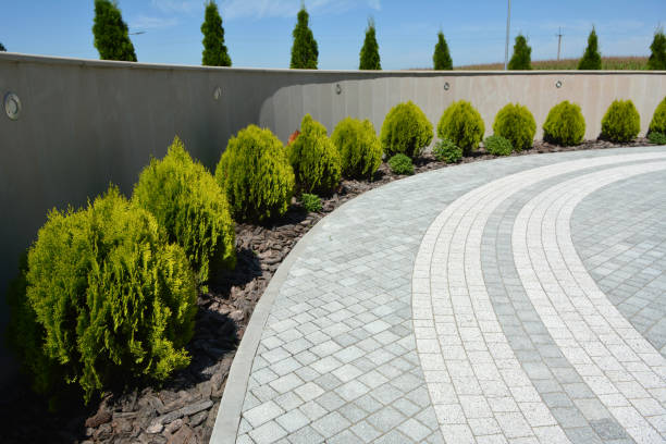 Best Luxury Driveway Paving Solutions in Hollister, MO